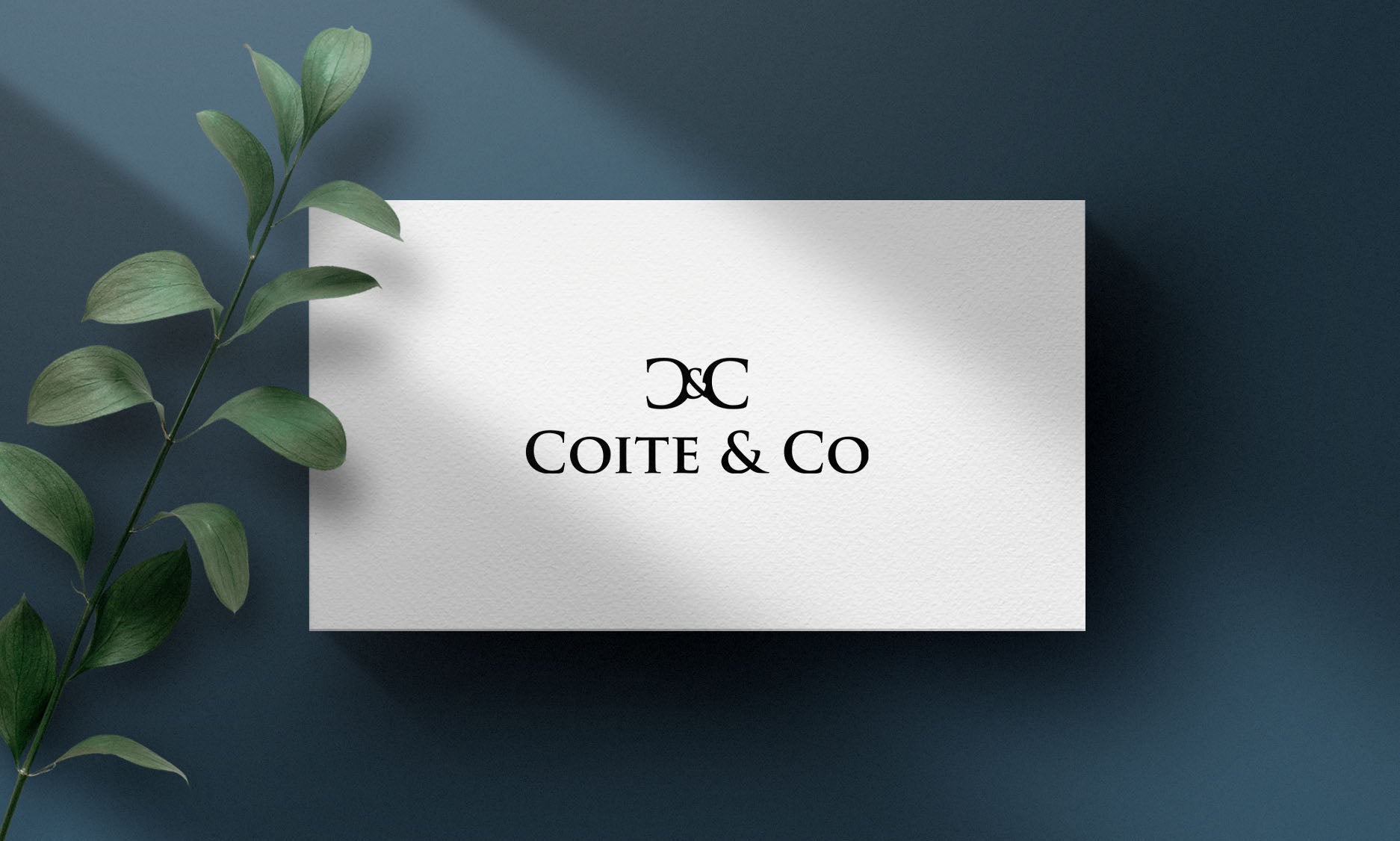 Gift Card - Coite&Co